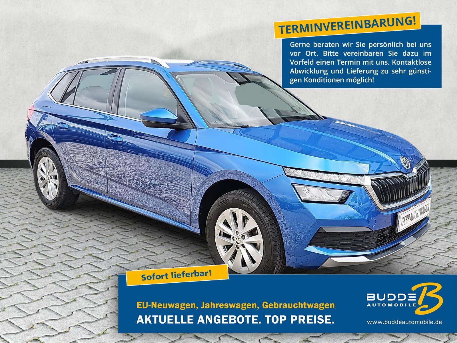 Fahrzeugbild eines Skoda Kamiq