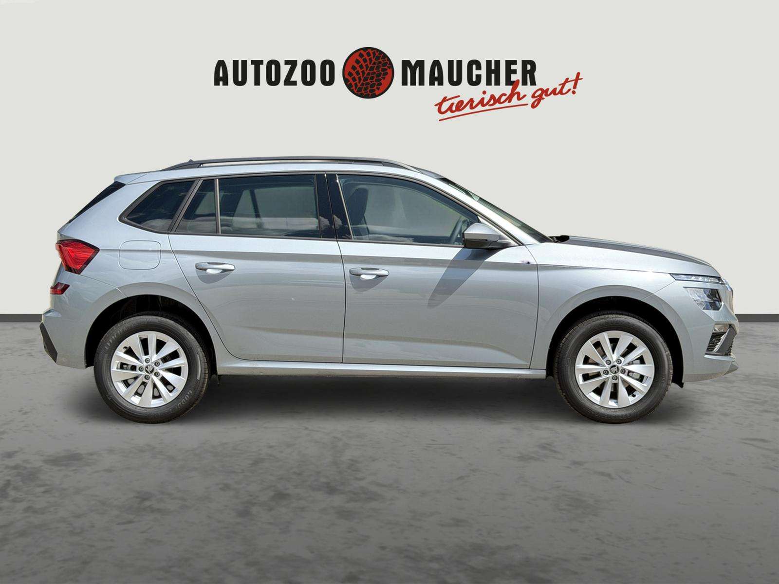 Fahrzeugbild eines Skoda Kamiq