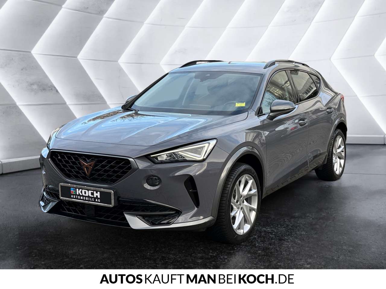 Fahrzeugbild eines CUPRA Formentor