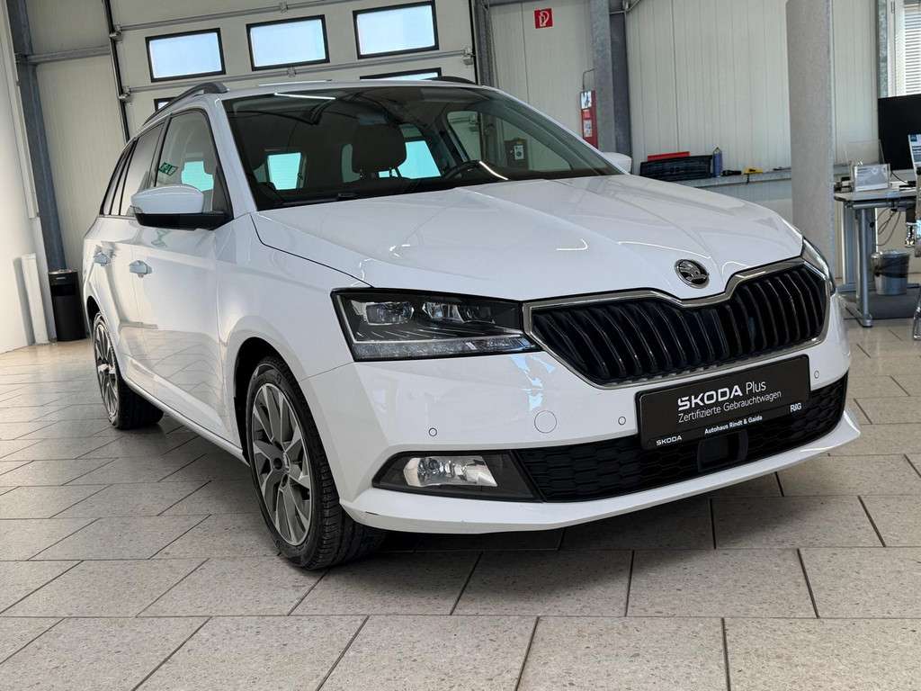 Fahrzeugbild eines Skoda Fabia