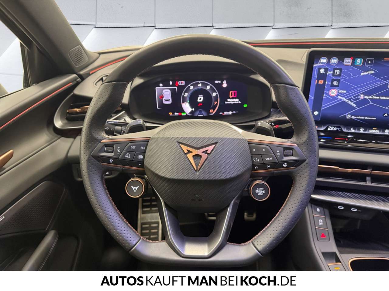 Fahrzeugbild eines CUPRA Terramar