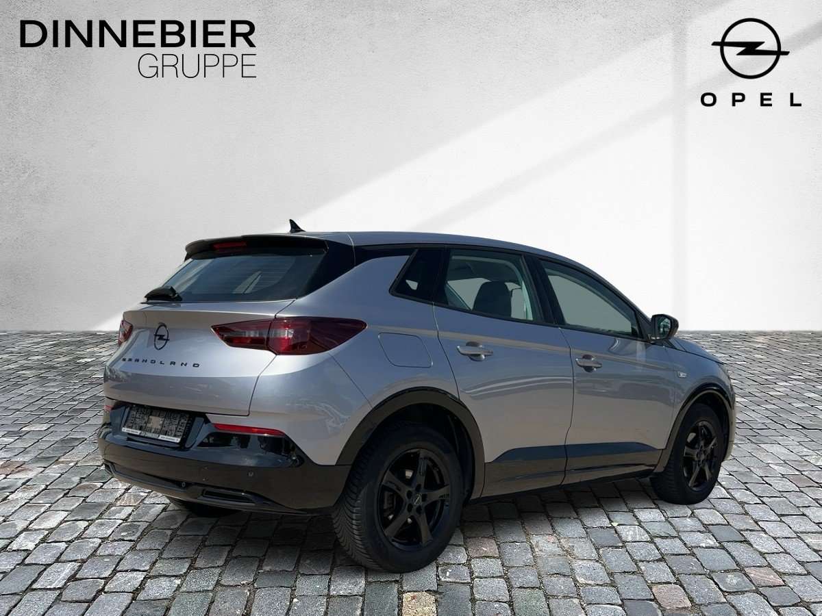 Fahrzeugbild eines Opel Grandland X