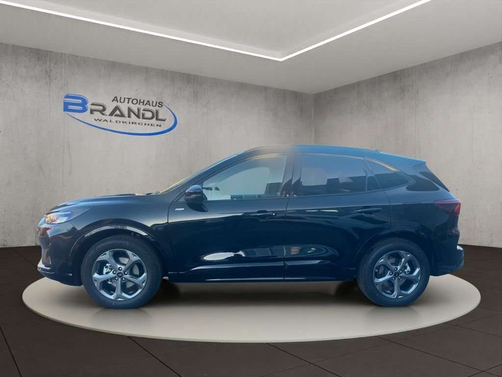 Fahrzeugbild eines Ford Kuga