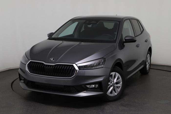 Fahrzeugbild eines Skoda Fabia