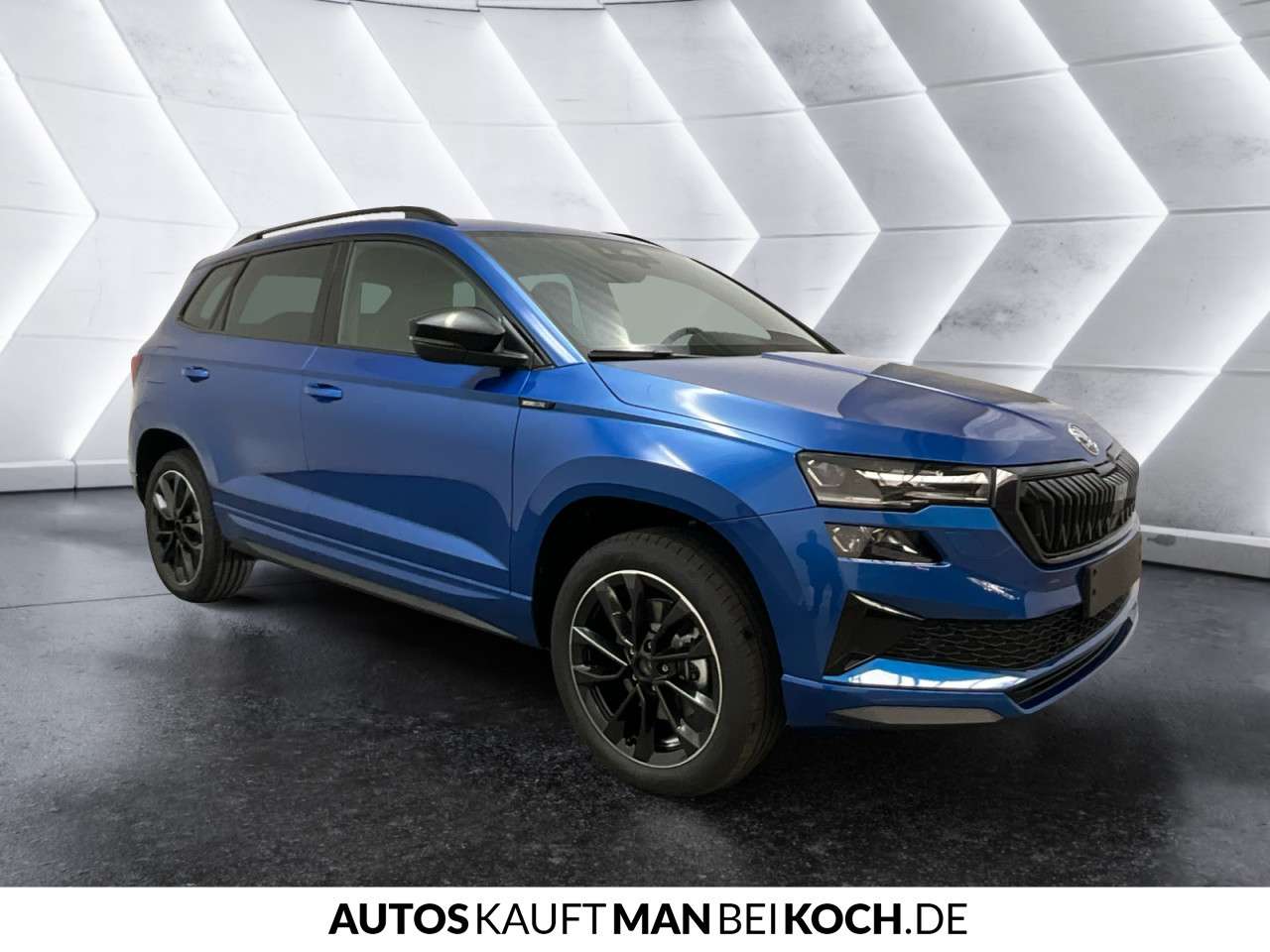 Fahrzeugbild eines Skoda Karoq