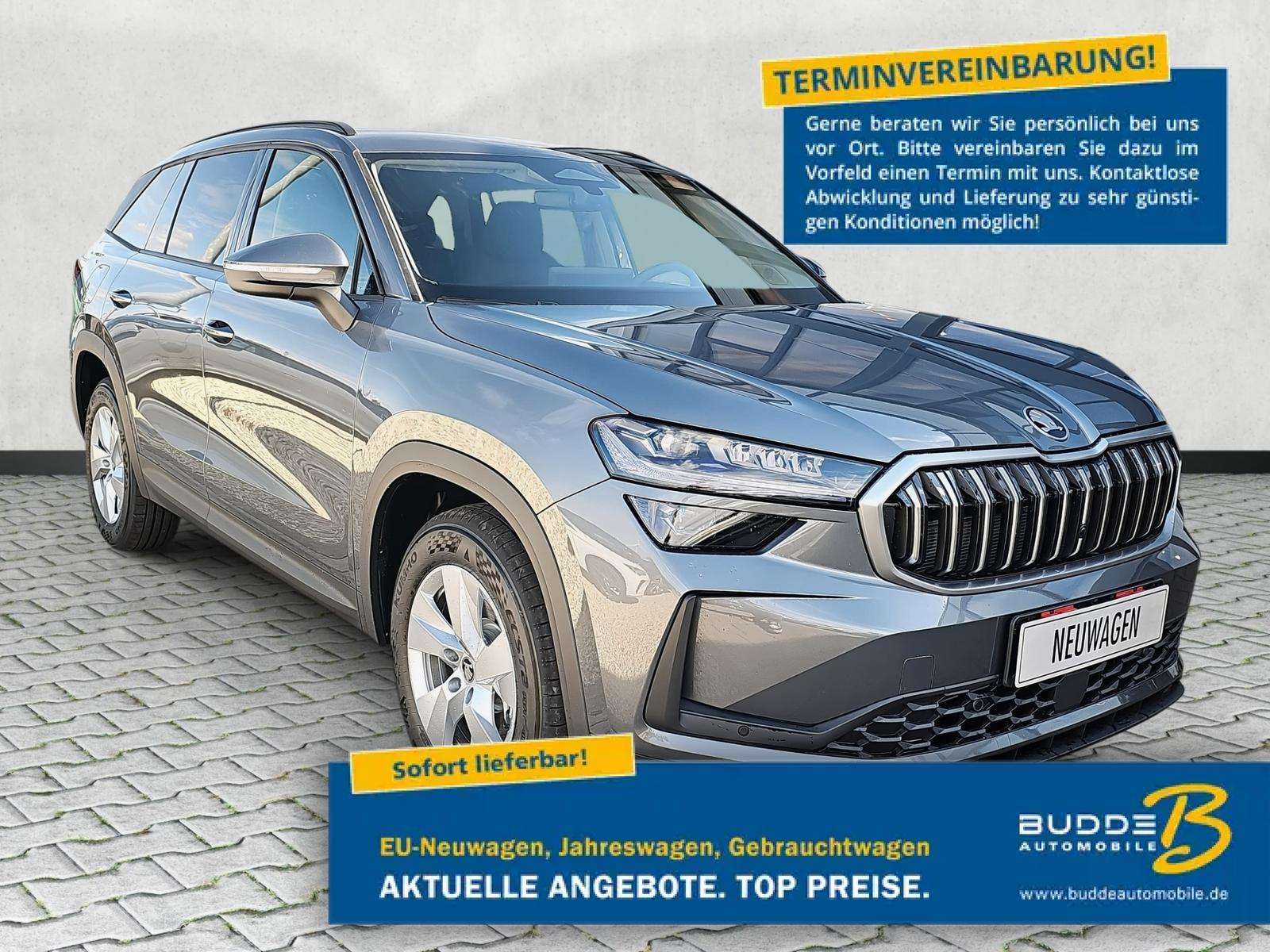 Fahrzeugbild eines Skoda Kodiaq