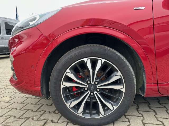 Fahrzeugbild eines Ford Kuga