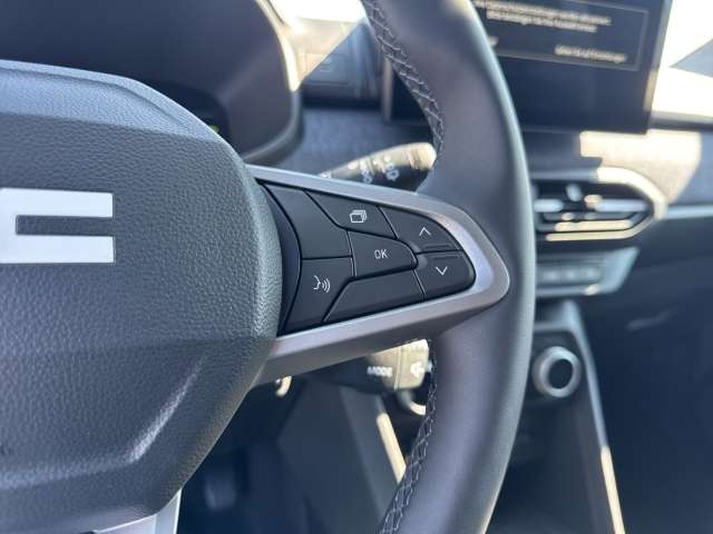 Fahrzeugbild eines Dacia Jogger