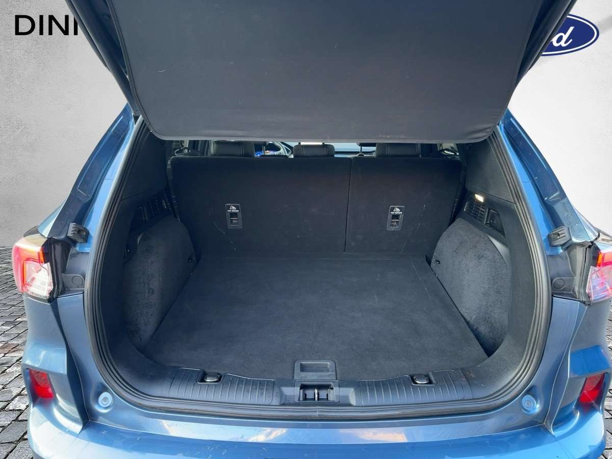 Fahrzeugbild eines Ford Kuga