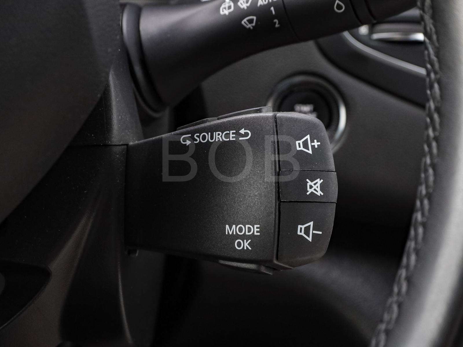 Fahrzeugbild eines Renault Mégane