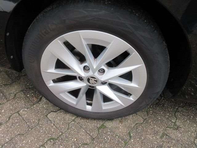 Fahrzeugbild eines Skoda Octavia