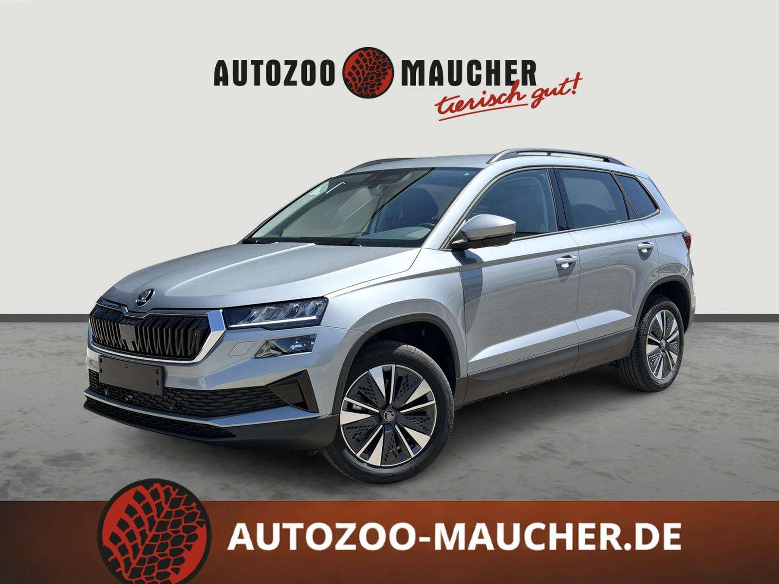 Fahrzeugbild eines Skoda Karoq