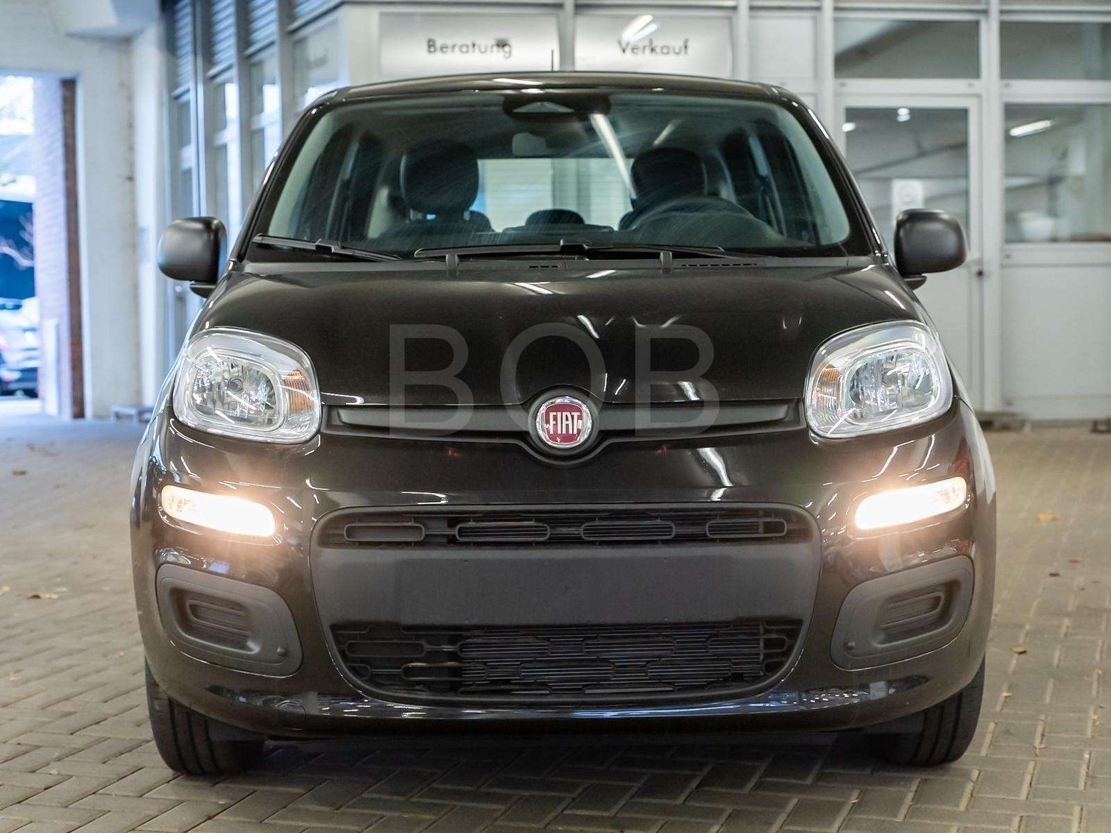 Fahrzeugbild eines Fiat Panda