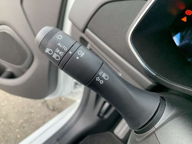 Fahrzeugbild eines Renault ZOE