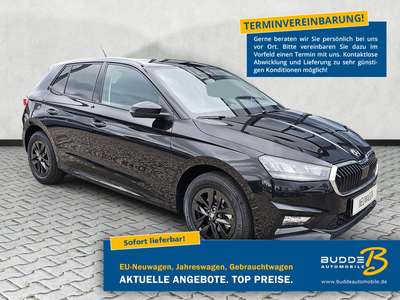 Bild Skoda Fabia