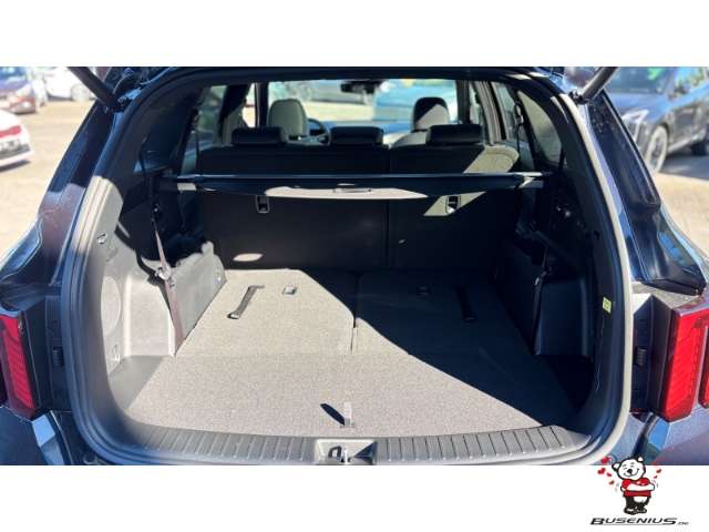 Fahrzeugbild eines Kia Sorento
