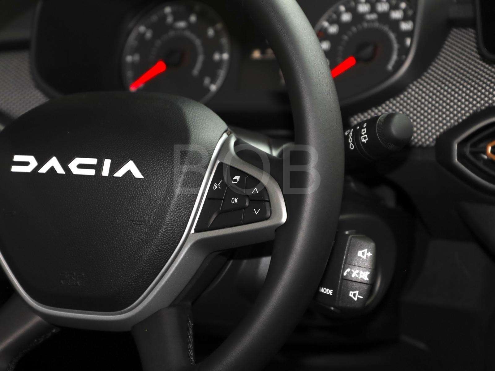 Fahrzeugbild eines Dacia Sandero