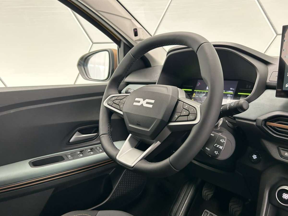 Fahrzeugbild eines Dacia Sandero