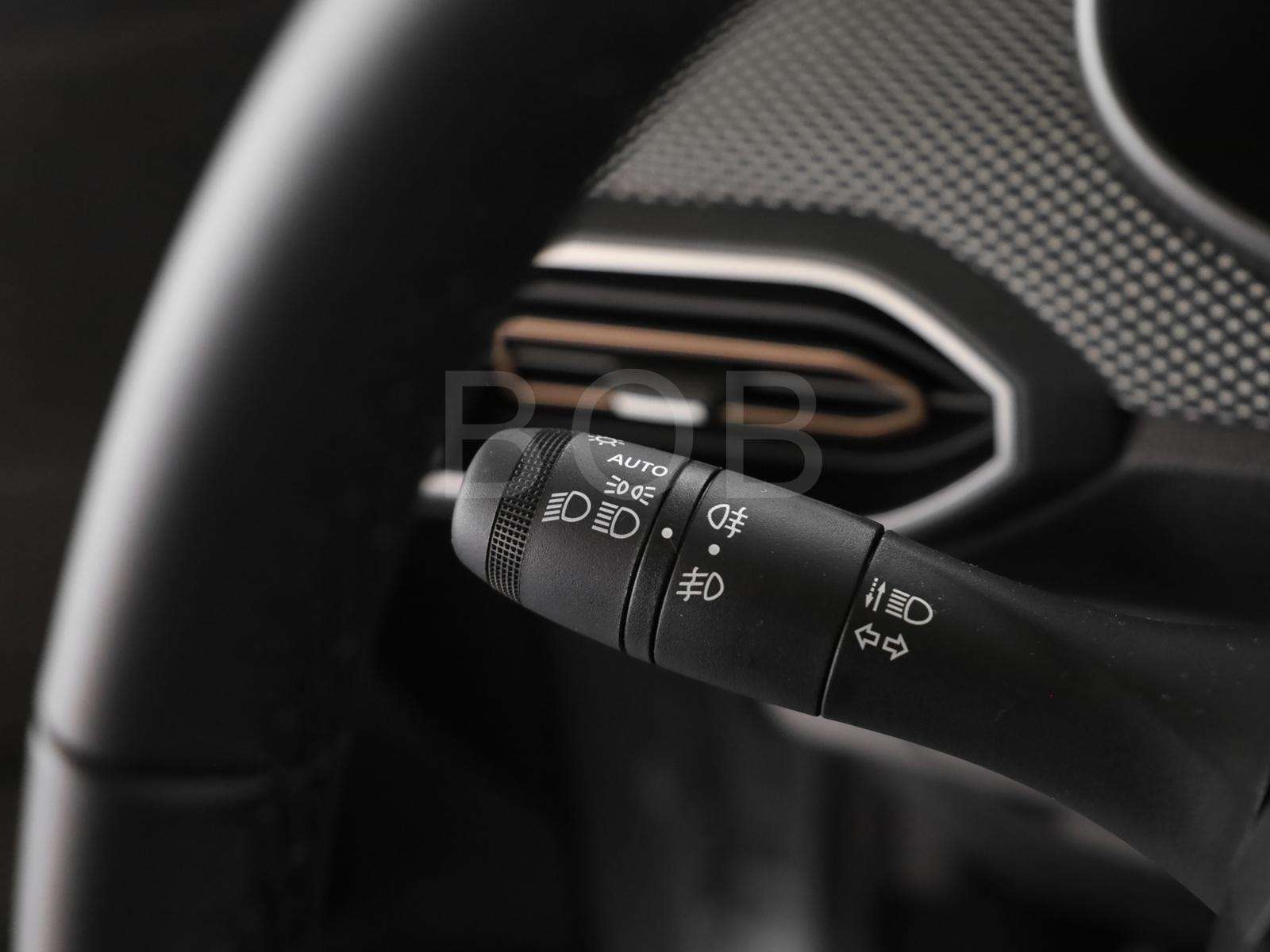 Fahrzeugbild eines Dacia Sandero