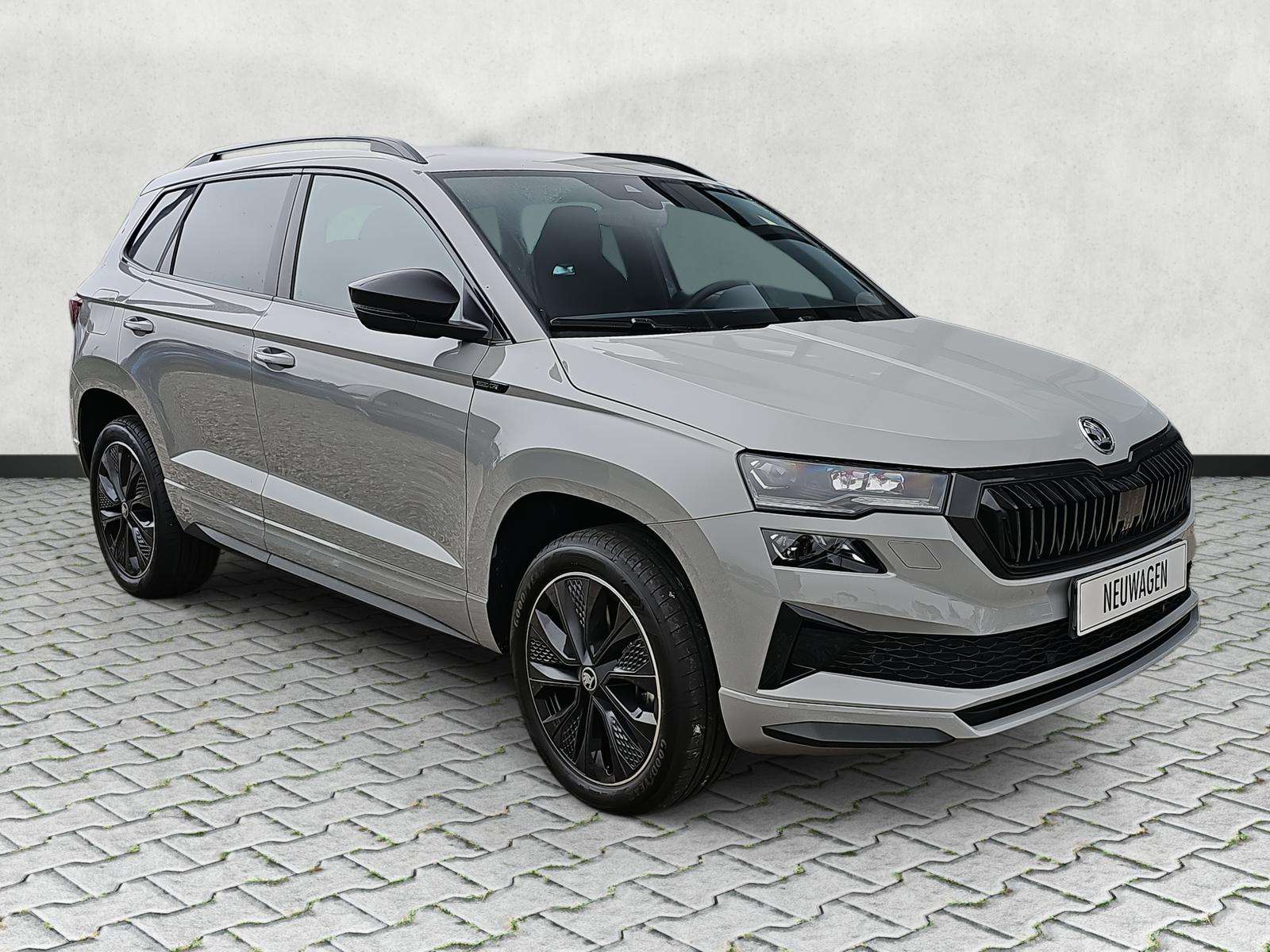 Fahrzeugbild eines Skoda Karoq