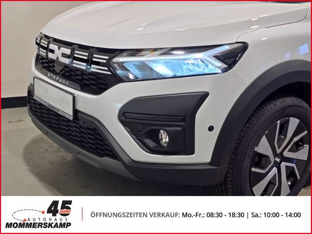 Fahrzeugbild eines Dacia Sandero