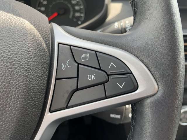Fahrzeugbild eines Dacia Jogger
