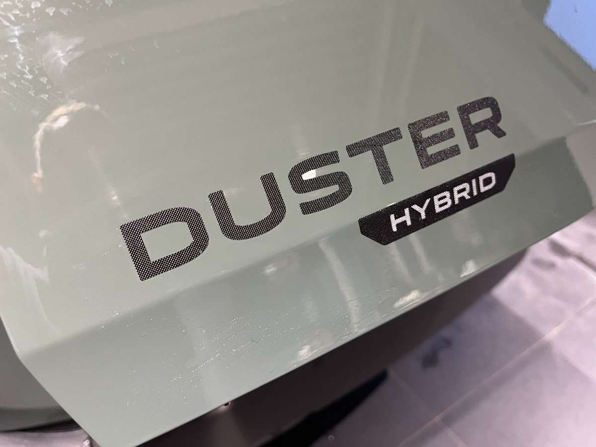 Fahrzeugbild eines Dacia Duster