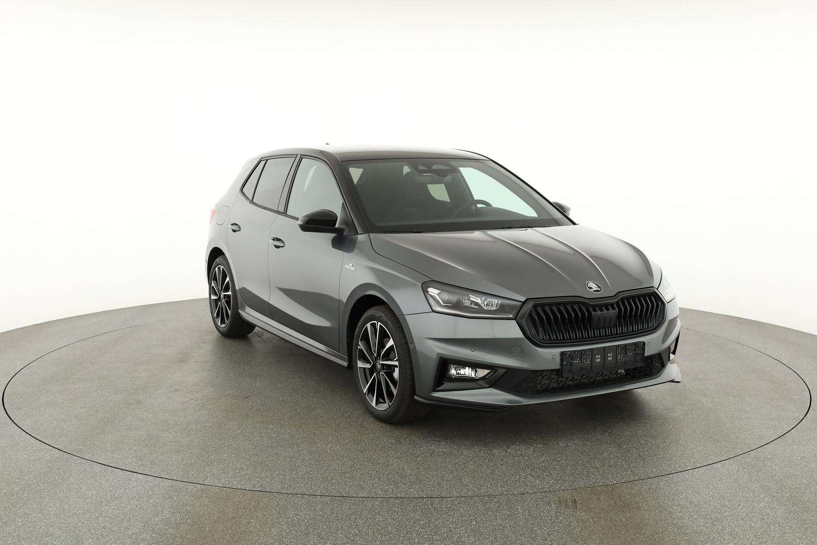 Fahrzeugbild eines Skoda Fabia