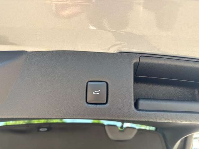 Fahrzeugbild eines Ford Kuga