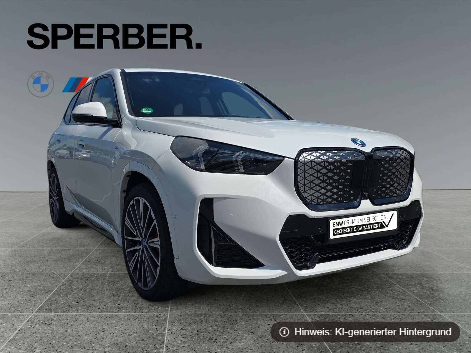 Fahrzeugbild eines BMW iX1