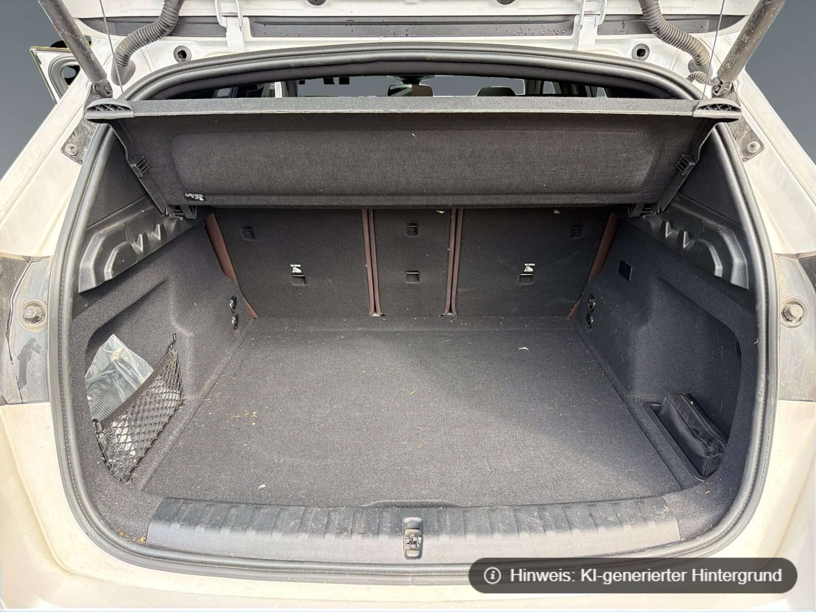 Fahrzeugbild eines BMW iX1