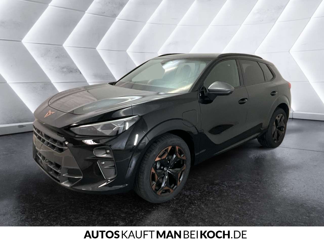 Fahrzeugbild eines CUPRA Terramar
