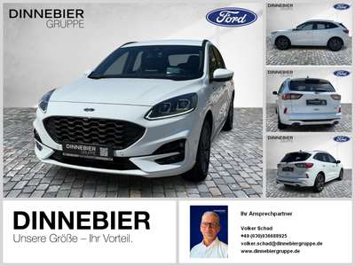 Bild Ford Kuga
