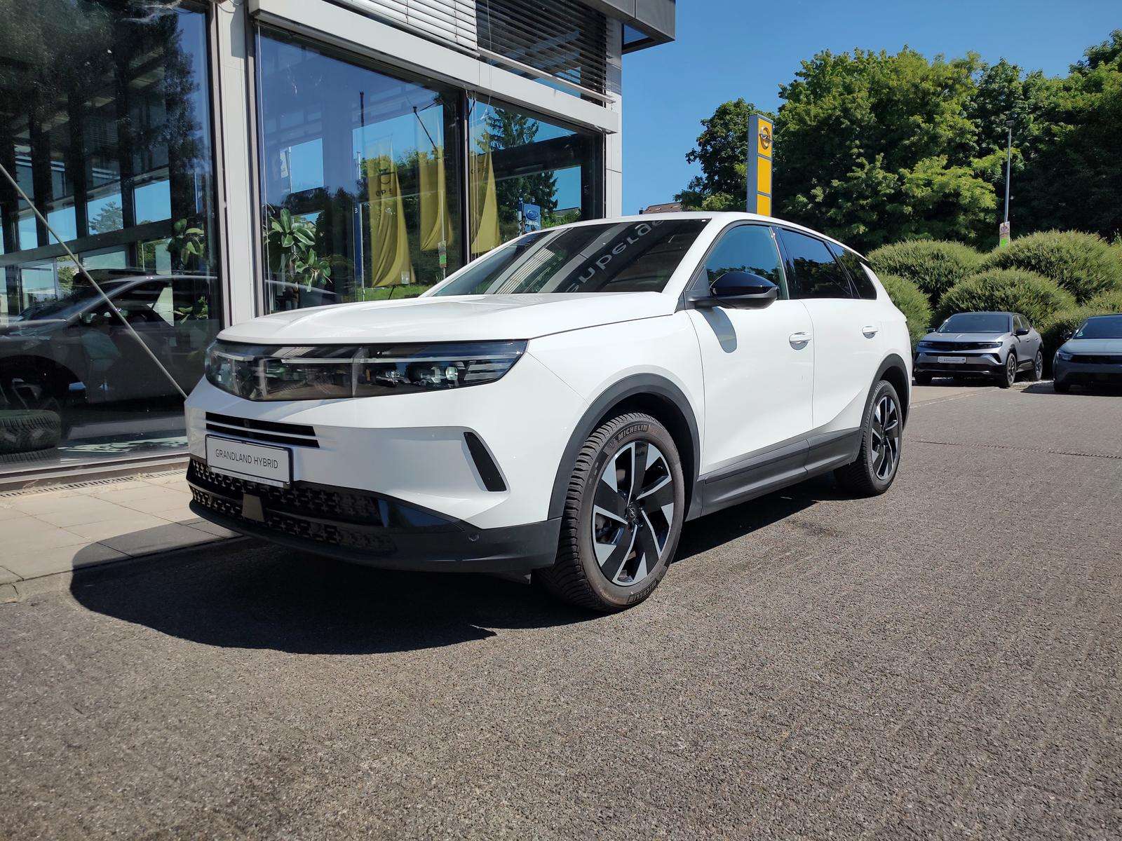 Fahrzeugbild eines Opel Grandland X