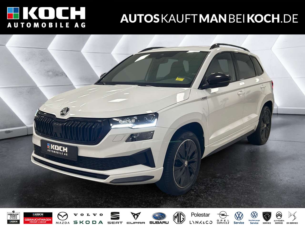 Fahrzeugbild eines Skoda Karoq