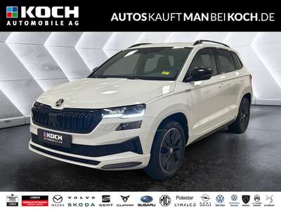 Bild Skoda Karoq