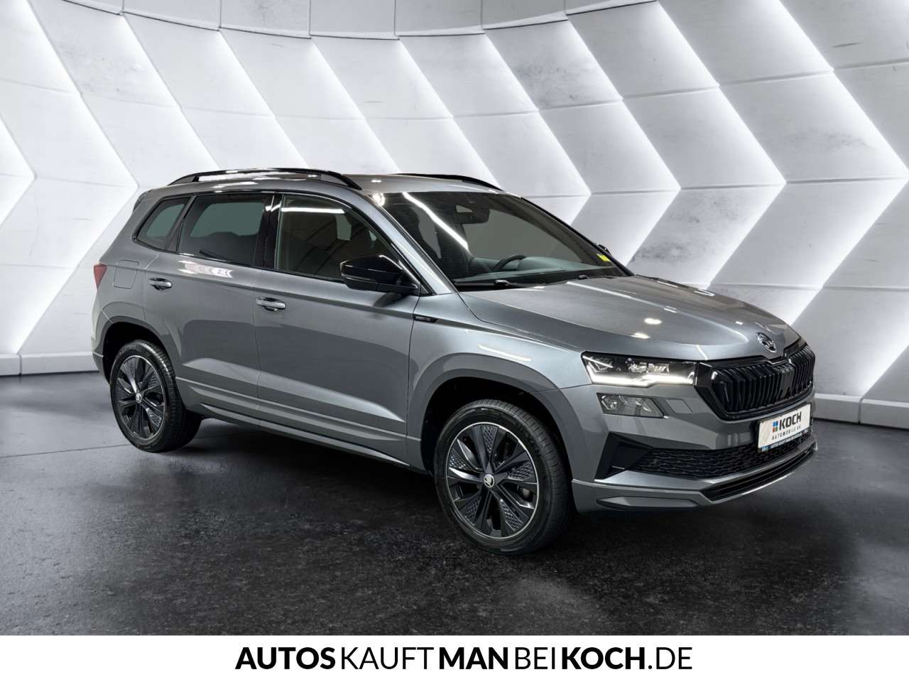 Fahrzeugbild eines Skoda Karoq