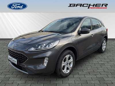 Bild Ford Kuga