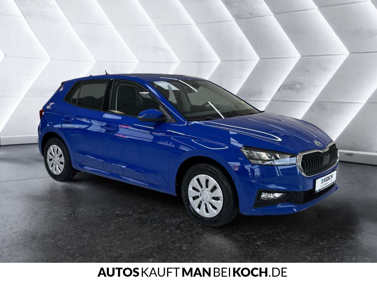 Fahrzeugbild eines Skoda Fabia