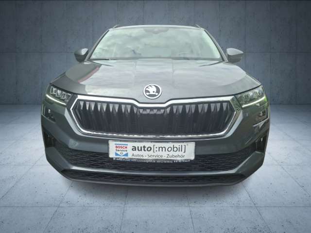 Fahrzeugbild eines Skoda Karoq