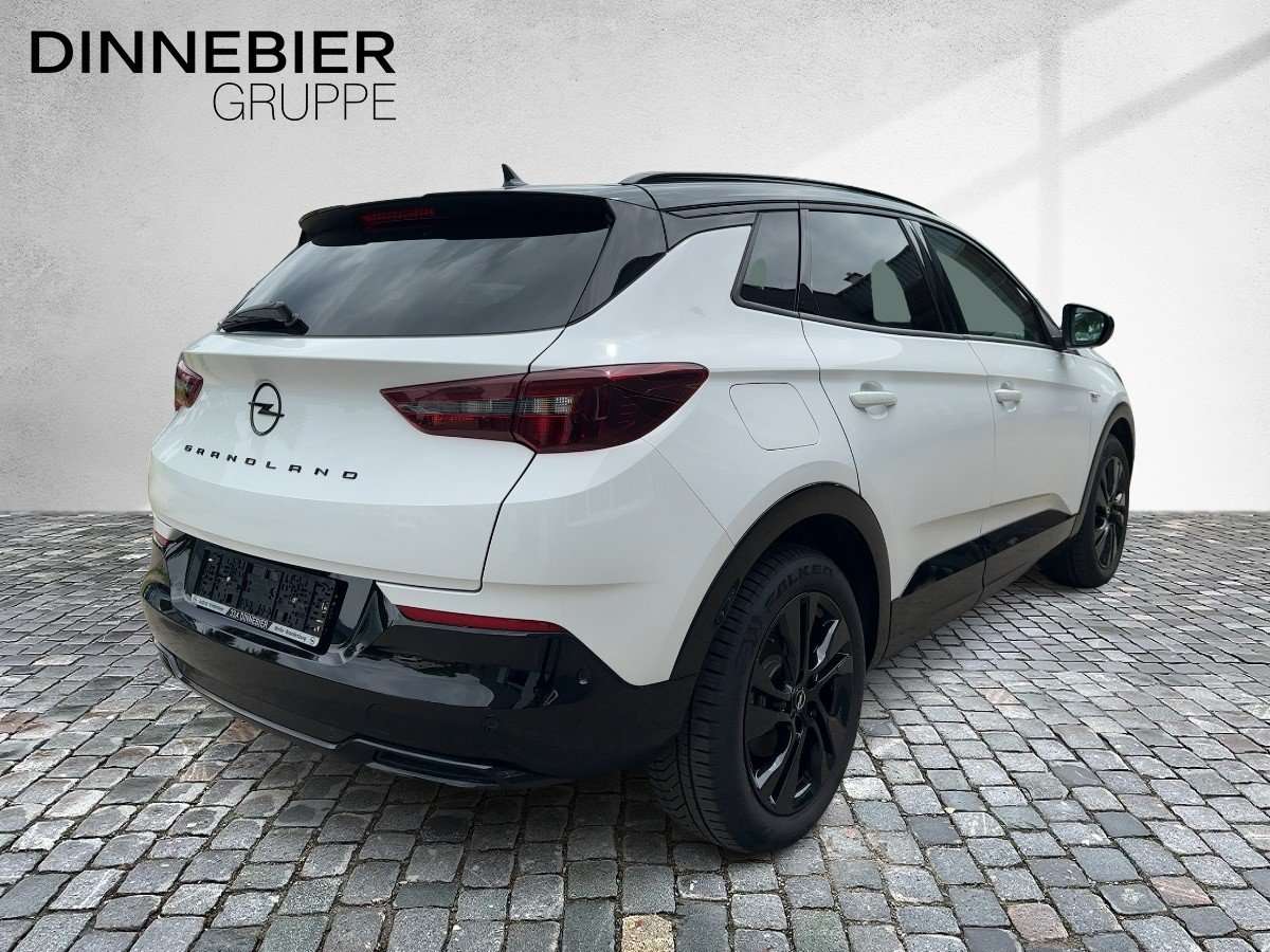Fahrzeugbild eines Opel Grandland X