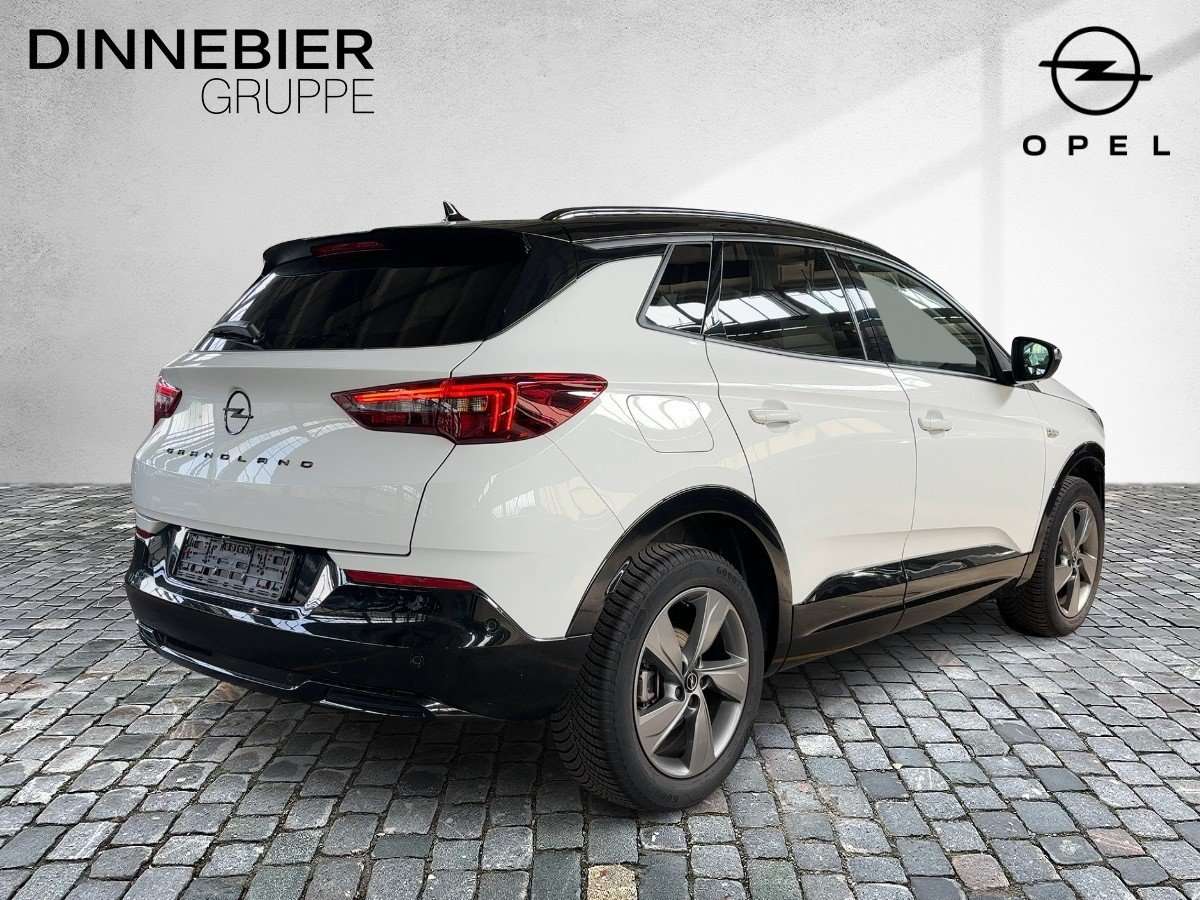 Fahrzeugbild eines Opel Grandland X