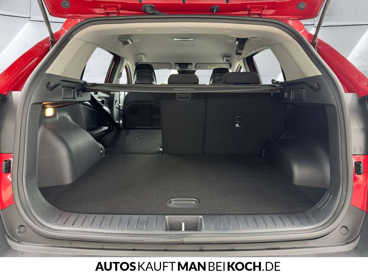 Fahrzeugbild eines Kia Sportage