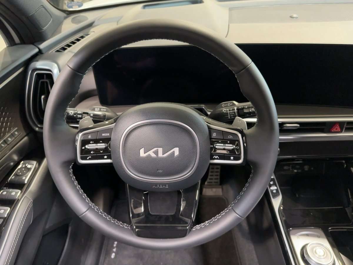 Fahrzeugbild eines Kia Sorento