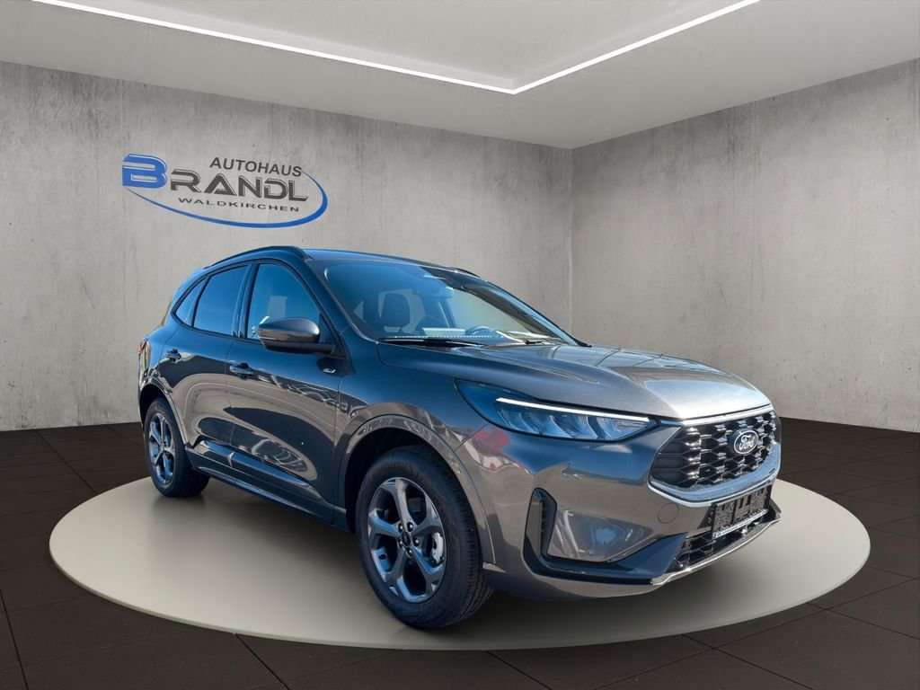 Fahrzeugbild eines Ford Kuga