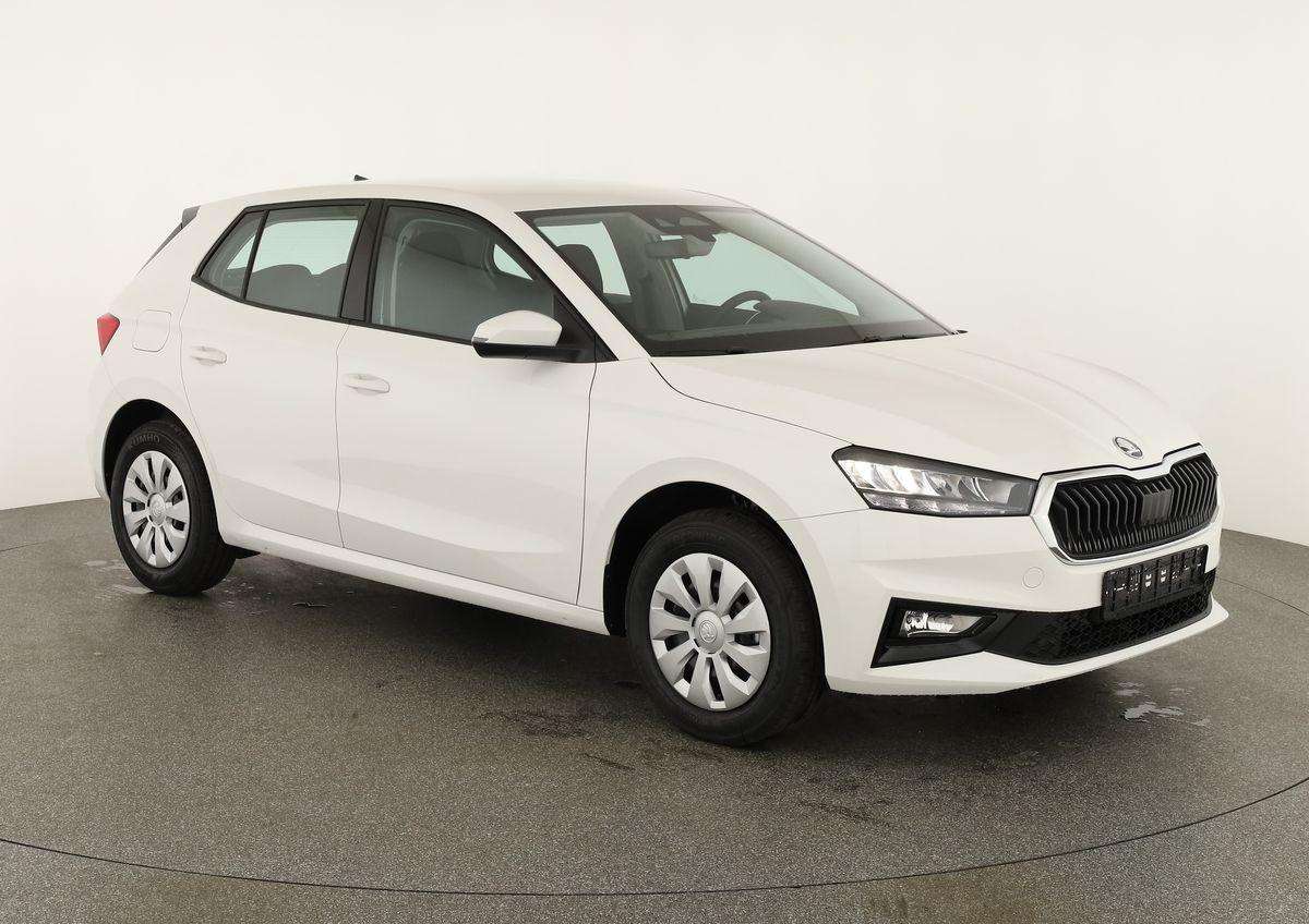 Fahrzeugbild eines Skoda Fabia