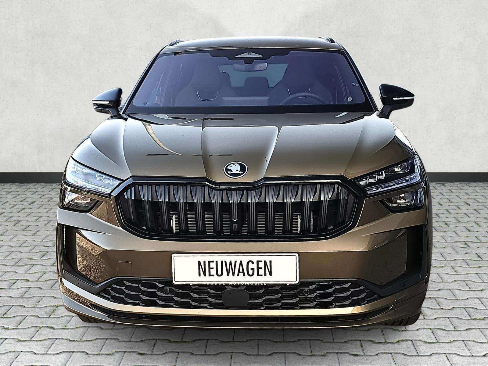 Fahrzeugbild eines Skoda Kodiaq