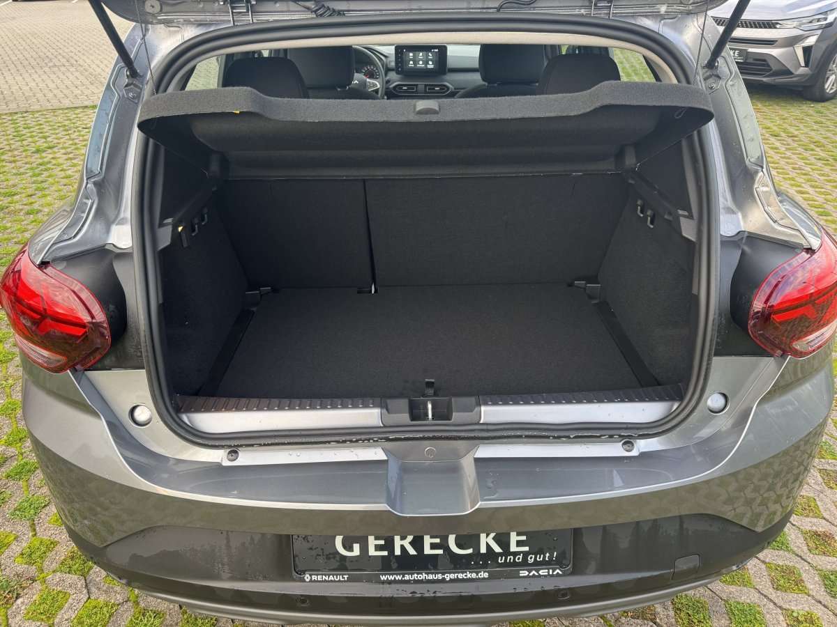 Fahrzeugbild eines Dacia Sandero