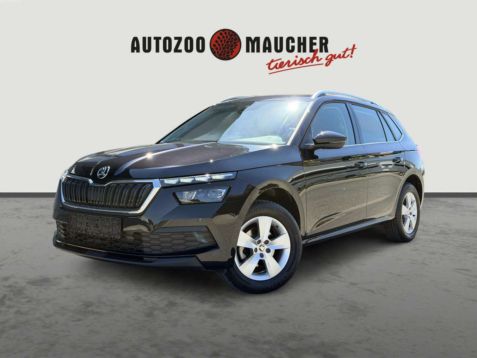 Fahrzeugbild eines Skoda Kamiq