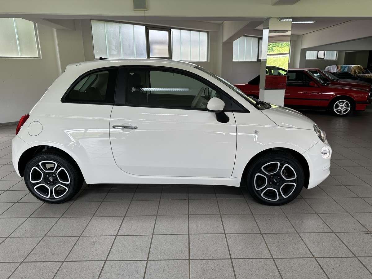 Fahrzeugbild eines Fiat 500